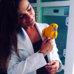 Clínica Veterinária BirdCare